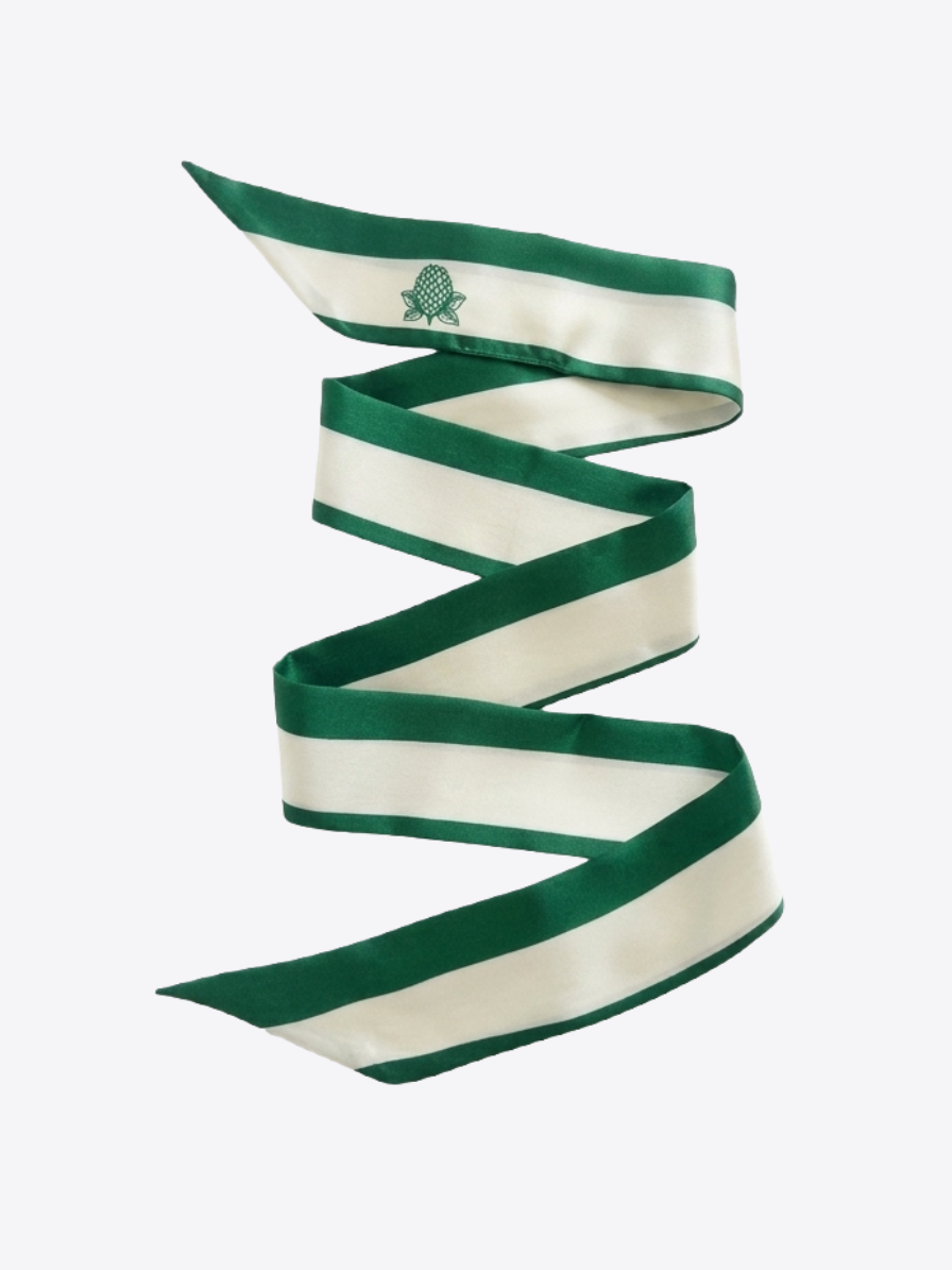 Stripe Skinny Scarf